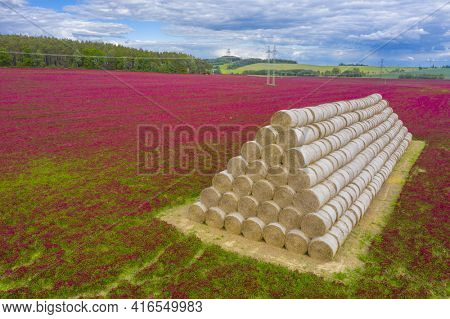 Red blooming crimson clover field (Trifolium incarnatum) and heap of bales seen from above