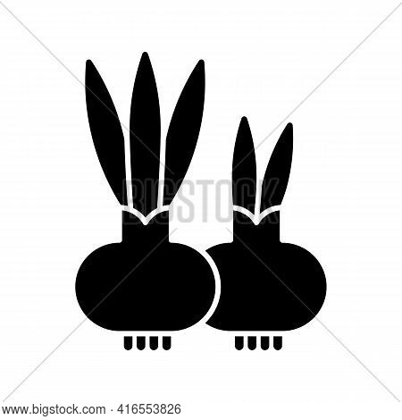Flower Bulbs Black Glyph Icon. Short Stem With Fleshy Leaves Or Leaf Bases That Function As Food Sto