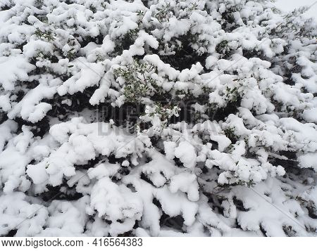 Nice Snowing View On A Mountain At 0 Degree Celcius