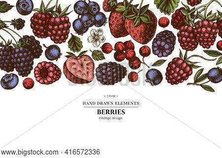 Colored Elements Design With Strawberry, Blueberry, Red Currant, Raspberry, Blackberry Stock Illustr