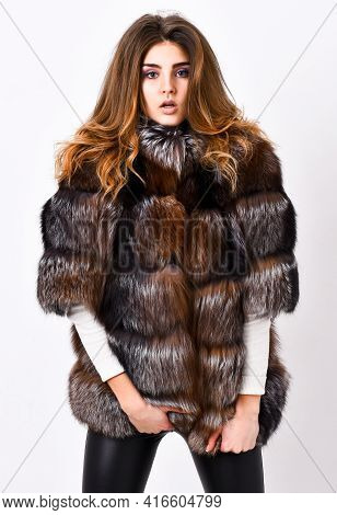 Winter Elite Luxury Clothes. Female Brown Fur Coat. Fur Store Model Posing In Soft Fluffy Warm Coat.