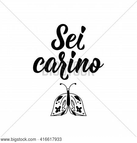 Sei Carino. Translation From Italian: You're Cute. Lettering. Ink Illustration. Modern Brush Calligr