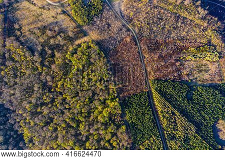 Aerial view of Landscape showing deciduous and spruce forest management in, Belgium, Near Orval
