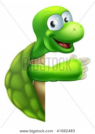 Tortue ou tortue pointant