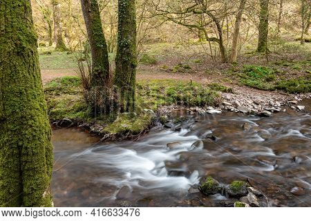 Horner Woods In Somerset