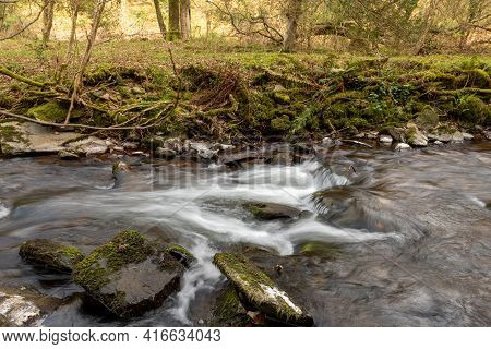 Horner Woods In Somerset