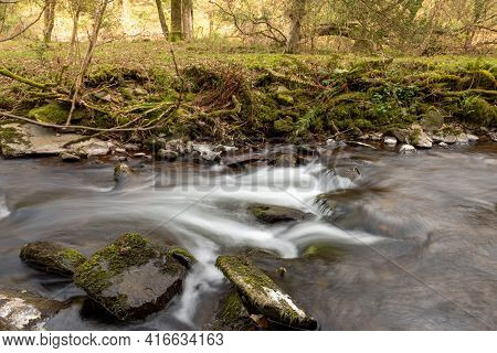 Horner Woods In Somerset