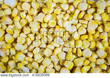 Corn Grains Are Quick-frozen Yellow, Useful Products Are Vitamins