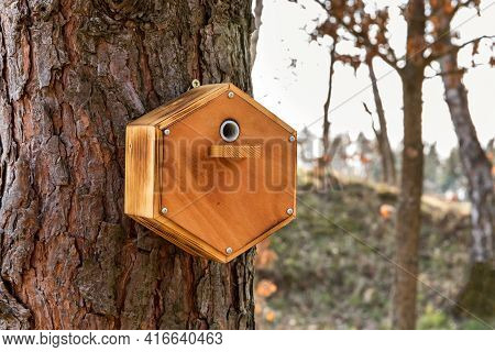 House For Nesting Bumble Bees On A Spring Garden. Insect Hotel Or House In A Garden Environment. Bum