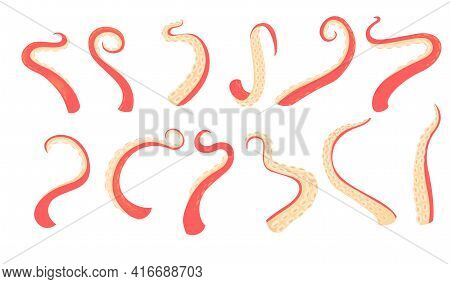 Set Of Diffirent Red Octopus Tentacles Vector Illustration Isolated On White Background