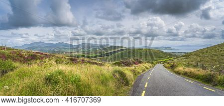 Wildflowers Blooming At Spring Near Road Leading To Dunquin Village. Beautiful Panoramic View On Din
