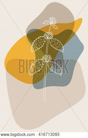White Horehound, Abstract, Poster, Minimal Dd Ww
