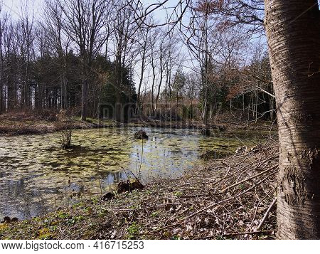 Beautiful Calm Small Lake Surrounded By Trees Near Faaborg Denmark - Nature And Outdoors Travel Back