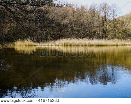 Beautiful Calm Small Lake Surrounded By Trees Near Faaborg Denmark - Nature And Outdoors Travel Back