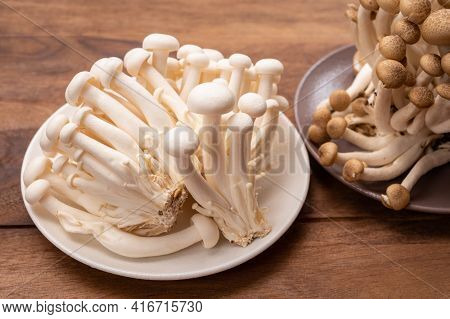 Shimeji Edible Mushrooms Native To East Asia, Buna-shimeji Is Widely Cultivated And Rich In Umami Ta