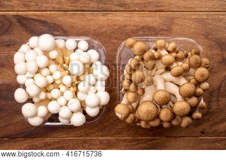 Shimeji Edible Mushrooms Native To East Asia, Buna-shimeji Is Widely Cultivated And Rich In Umami Ta
