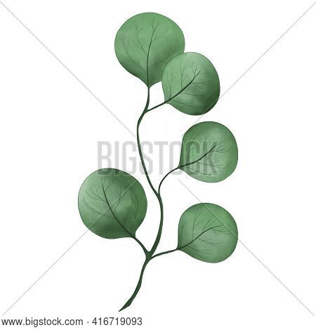 Illustration Of Twigs Twigs With Leaves In Watercolor Style