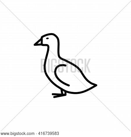 Duck Line Icon In A Simple Style. Vector Sign In A Simple Style Isolated On A White Background. 64x6