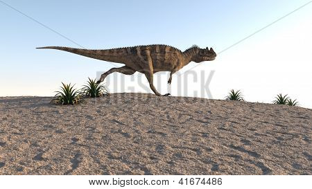 Cerantosaurus auf Sand Gelände