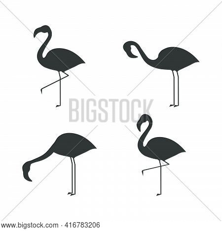Flamingo Icon Set. Flamingos Black Silhouette In Different Poses. Vector Illustration Isolated On Wh