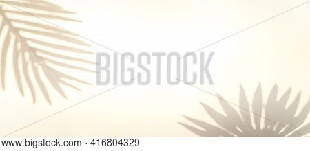 Flowers Shadow Summer Background. Plant Leaf Shadows On White Wall In Abstract Tropical Sunlight Tex