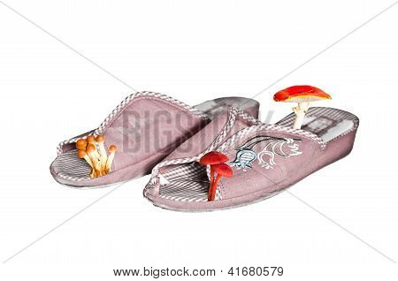 Closeup Pantoffeln mit Pilzen