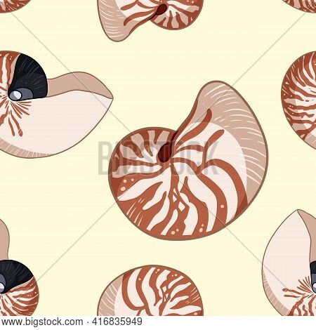 Nautilus Shells Colorful Doodles Seamless Pattern. Background Template Of Stock Sea Shells For Wrapp