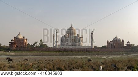 Afternoon Wide View Of The Taj Mahal From Mehtab Bagh In Agra