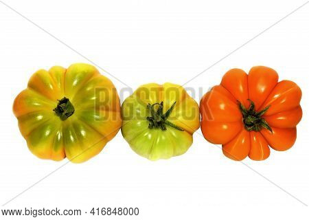 Fresh Ripe Red Tomatoes Timento On White Background.