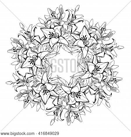 Black And White Wreath Of Lily Flowers Drawn By Hand In Circle Shape Isolated On White Background. L