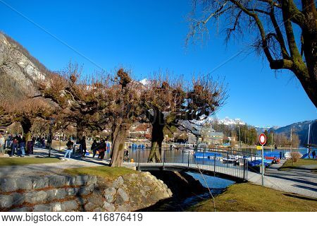Natural Scenery From A Park In Weesen In Switzerland 21.2.2021