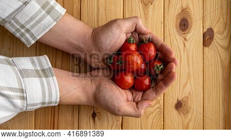 Tomatoes In Male Hands On A Neutral Background Close Up
