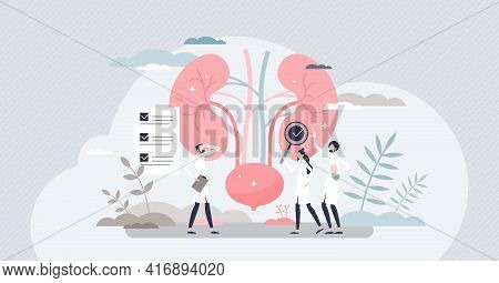 Nephrologist As Kidney And Bladder Professional Doctor Tiny Person Concept