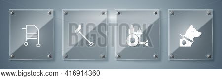 Set Guide Dog, Electric Wheelchair, Walking Stick Cane And Walker. Square Glass Panels. Vector