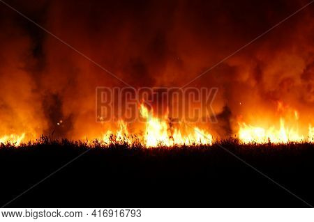 Flames From A Dry Grass Fire At Night. Night Fire In The Field. Selective Focus. Soft Focus