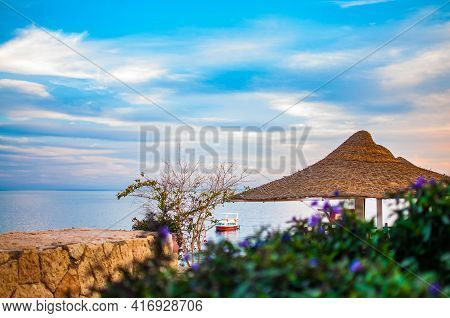 Hotel In Sharm El Sheikh In Sharks Bay