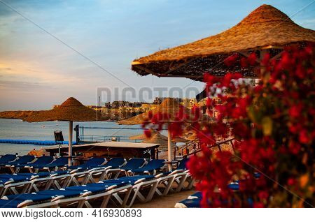 Hotel In Sharm El Sheikh In Sharks Bay