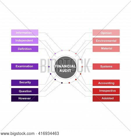 Diagram Concept With Financial Audit Text And Keywords. Eps 10 Isolated On White Background