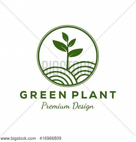 Simple Green Plant Gardening Logo Vector Illustration Design