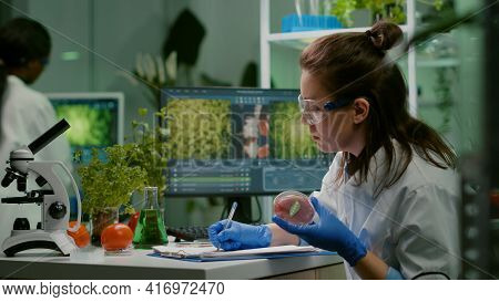 Biologist Woman Writing Medical Expertise While Holding Petri Dish With Vegan Beef Meat