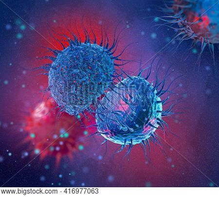 Medical Abstract Background, Bacteria Neisseria Gonorrhoeae, Neisseria Meningitidis, Gonococcus And 