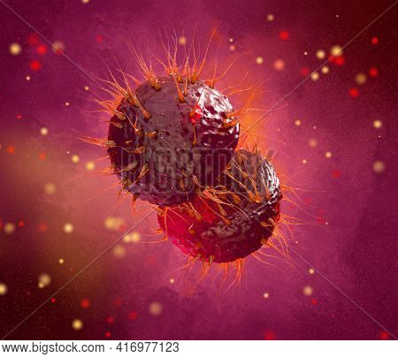 Medical Abstract Background, Bacteria Neisseria Gonorrhoeae, Neisseria Meningitidis, Gonococcus And 