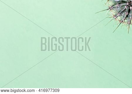 Background From Parts Of A Cactus On A Green Background. Plant Texture With Thorns.