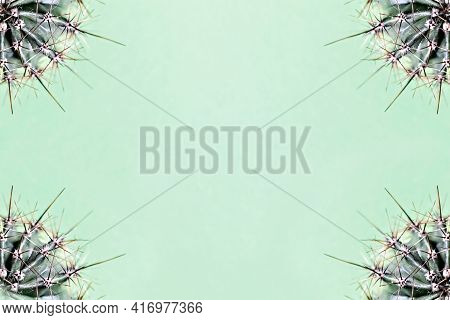 Background From Parts Of A Cactus On A Green Background. Plant Texture With Thorns.