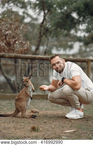 Man In The Reserve Is Playing With A Kangaroo