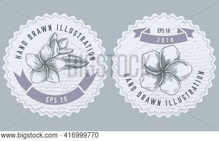 Monochrome Labels Design With Illustration Of Plumeria Stock Illustration