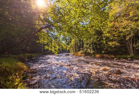 Landscape With Autumn Forest And River
