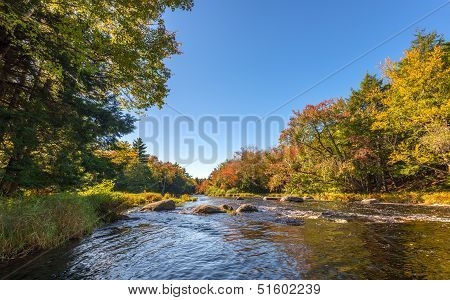 Landscape With Forest River In Autumn