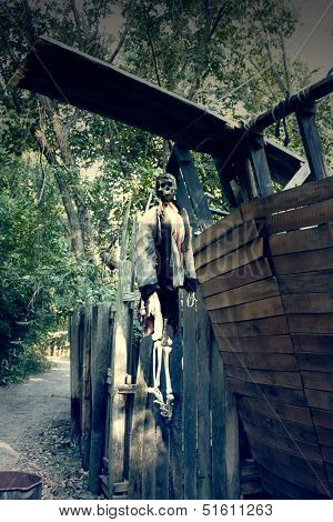 Halloween skeleton hanging on a tree