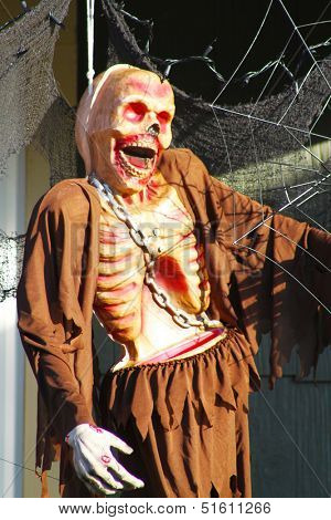 Halloween skeleton hanging on a tree